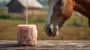 Ultra-photorealistic 8K studio-style outdoor image showing one natural round Himalayan salt lick block (2kg) placed on a wooden surface or hanging with a thin braided white rope through a small hole. A horse s (1).webp