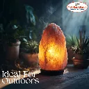 Ideal For Home Decor 12.webp