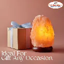 Ideal For Home Decor 8.webp