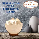 himalayan salt firebowl lamp 6.webp
